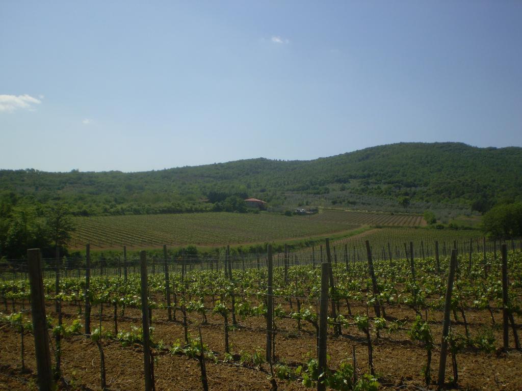 Вілла Agriturismo La Cella Ареццо Екстер'єр фото